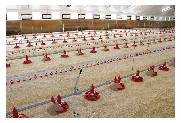 equipo av&iacute;cola