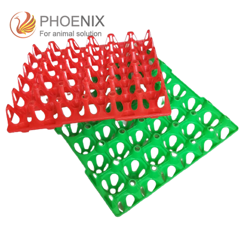 Bandeja plástica para huevos de pollo y codorniz, equipamiento para avicultura, Ph-136