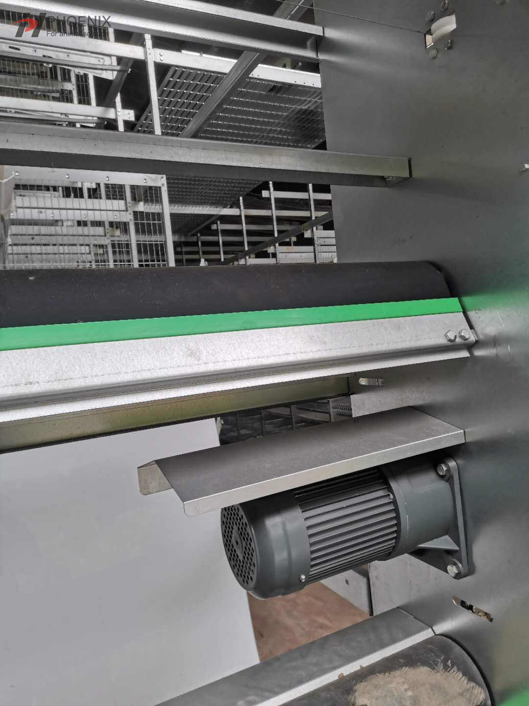  Jaula automática de la capa del pollo del sistema de la jaula del pollo de la capa de la batería tipo H 