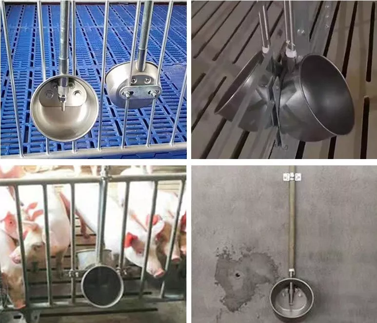 ss304-bebedero-para-cerdos