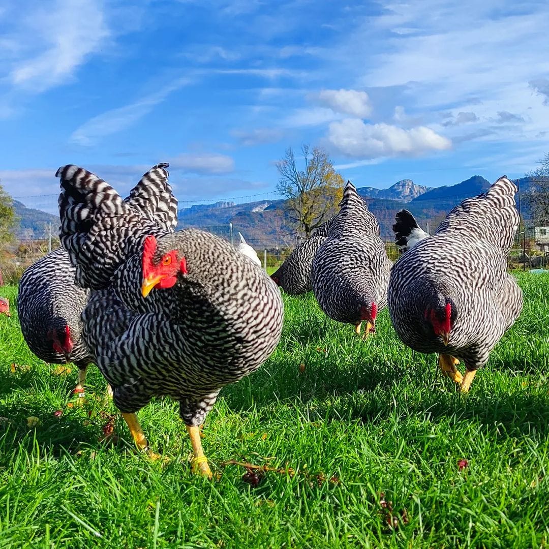 315148812_125068183710748_7488369704538621748_n