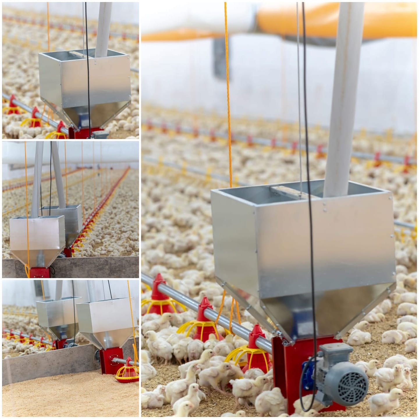 292068490_364708125773635_8827899266300739275_n