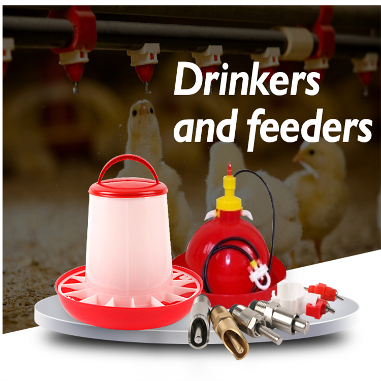 equipo para granja de pollos (2)