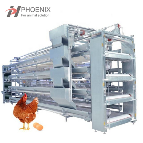  Jaula automática de la capa del pollo del sistema de la jaula del pollo de la capa de la batería tipo H 