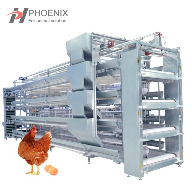  Jaula automática de la capa del pollo del sistema de la jaula del pollo de la capa de la batería tipo H 
