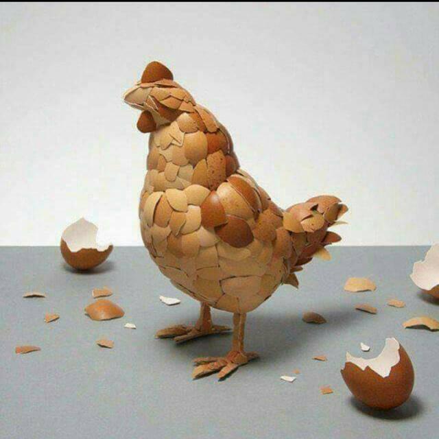 Cómo incubar huevos