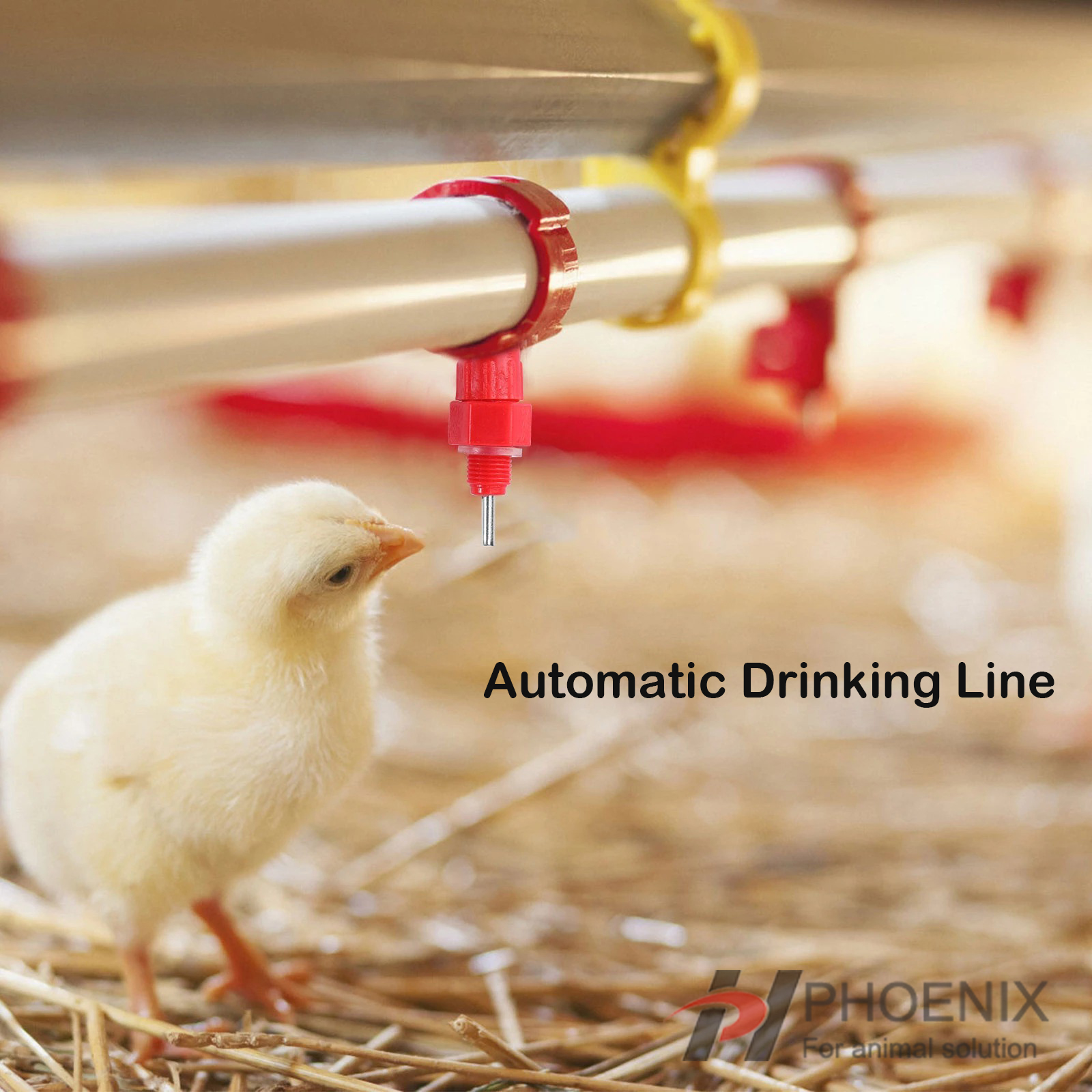 l&iacute;nea de bebederos de tetina 