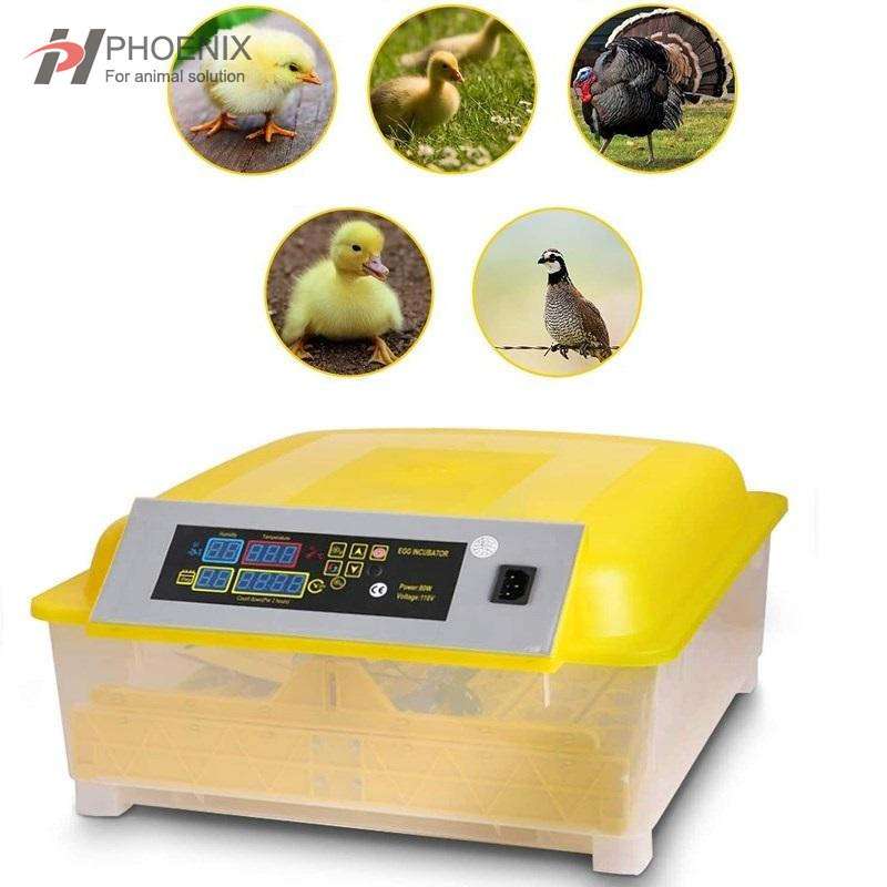 Mini incubadora de huevos, 24 huevos, Mini incubadora automática inteligente de huevos, incubadora con Control de temperatura para incubar pollo y pato