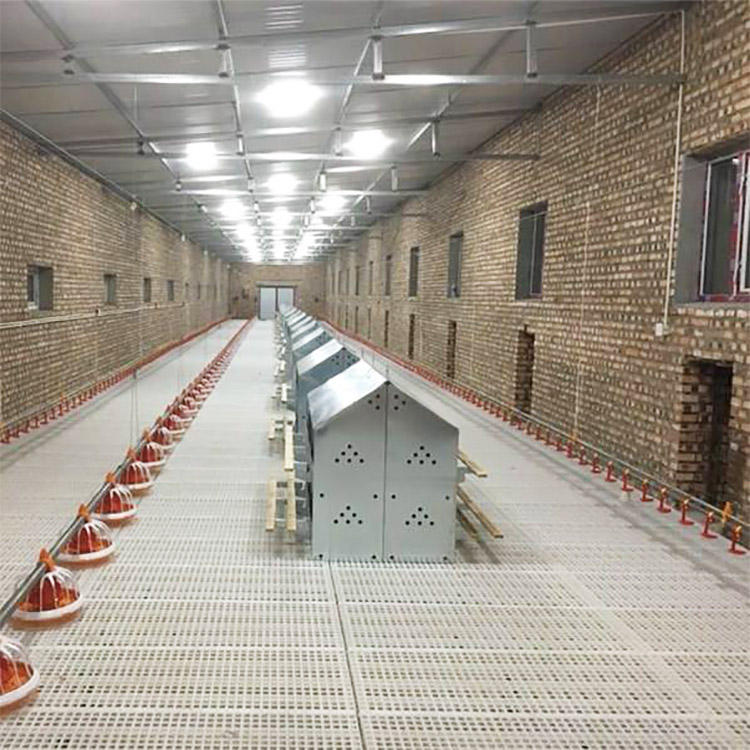 jaula para pollos (2)