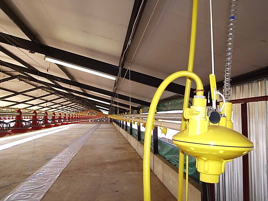 equipos av&iacute;colas (3)