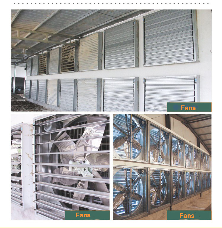 HTB1QrlPazLuK1Rjy0Fhq6xpdFXaN