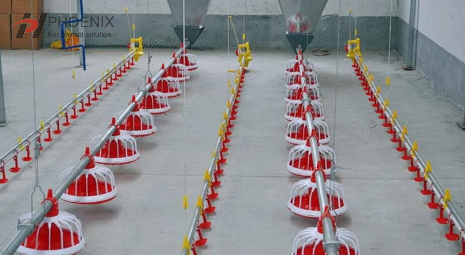 Sistema de alimentación automática Línea de alimentación y bebida para aves de corral