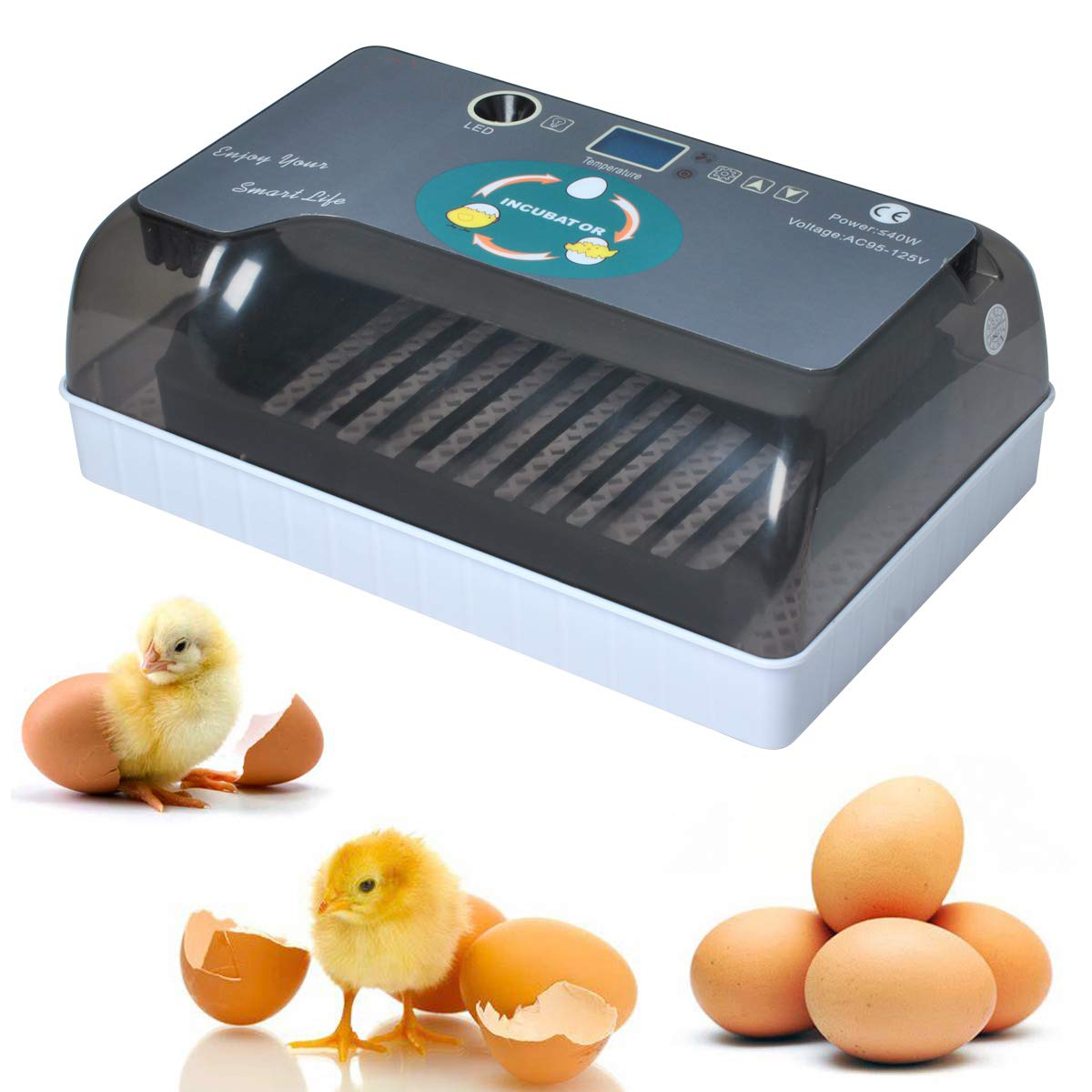 mini incubadora de huevos (4)