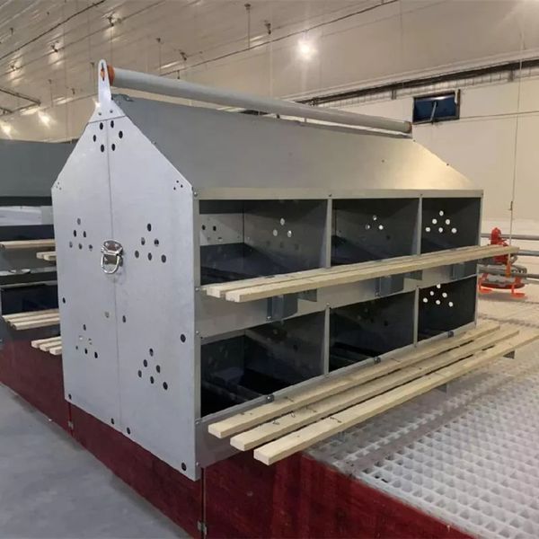 308347146_1335319433673778_4208173854940740374_n