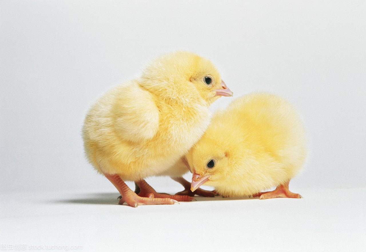 ¿Cuáles son las precauciones al utilizar la incubadora? 