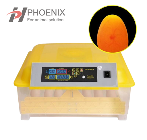 Mini incubadora de huevos Digital automática para aves de corral, incubadora de huevos para pollo, pato, ganso