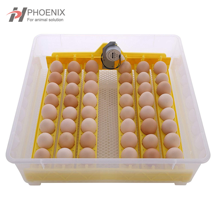Mini incubadora de huevos, 24 huevos, Mini incubadora automática inteligente de huevos, incubadora con Control de temperatura para incubar pollo y pato