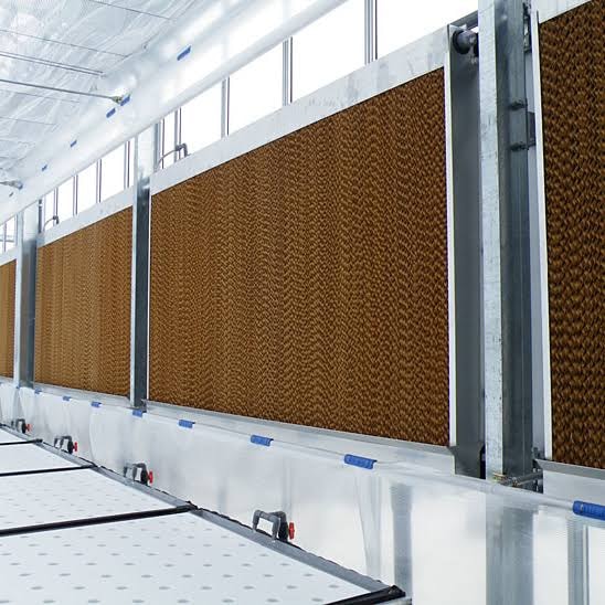 coj&iacute;n de enfriamiento