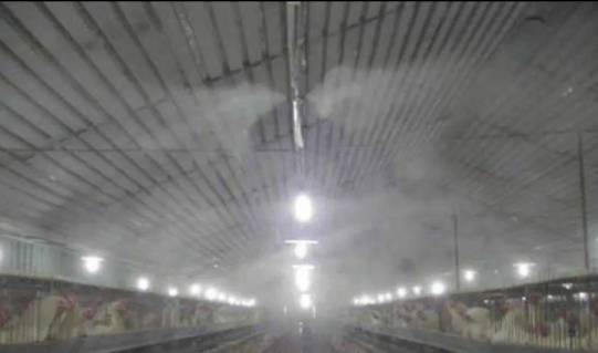 5a8ea35235f24a5fbcc16f7d60baa295