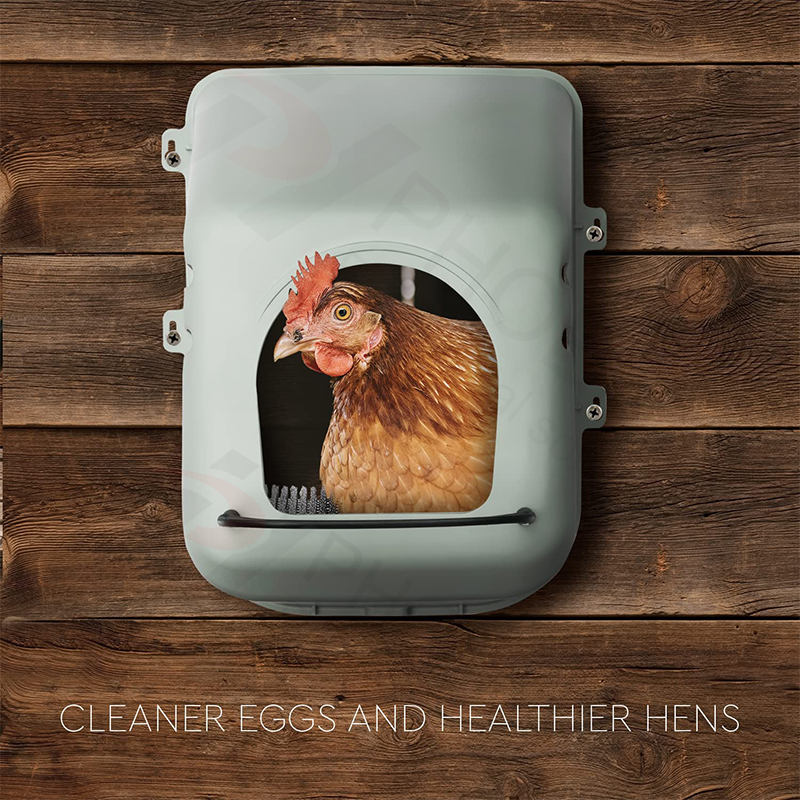 Una breve introducción a la caja nido del gallinero.