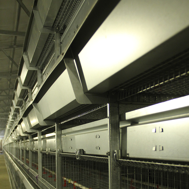 层叠育雏笼 (26)