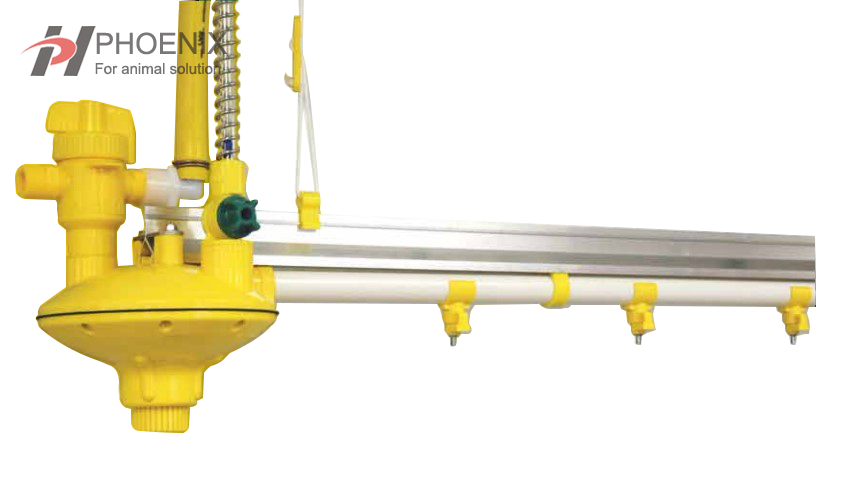 Línea automática de bebederos para pollos, equipo completo de bebedero para sistema de línea de agua de granjas avícolas 