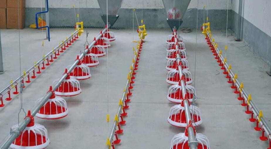 HTB1Bg4fXlaE3KVjSZLeq6xsSFXaT