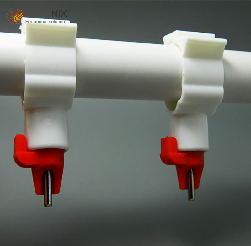 Alimentador de agua automático para patos, aves de corral, bebederos para pollos de engorde con tubería, bebedero con tetina de doble taza, ph-50