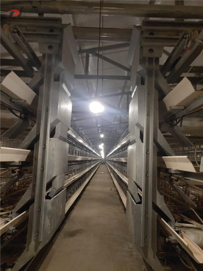  Jaula automática de la capa del pollo del sistema de la jaula del pollo de la capa de la batería tipo H 