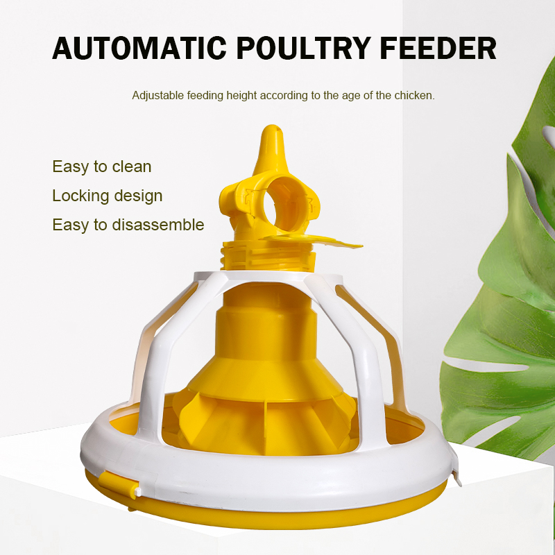 plato alimentador automático 