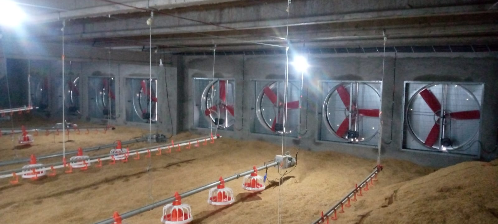 gallinero autom&aacute;tico (2)