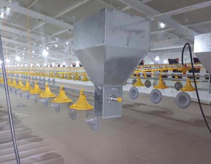 Sistema de línea de alimentación y bebedero para aves de corral