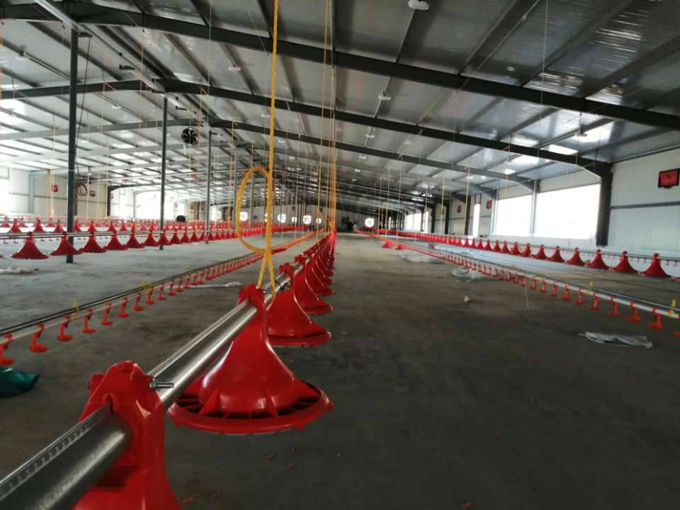 gallinero autom&aacute;tico