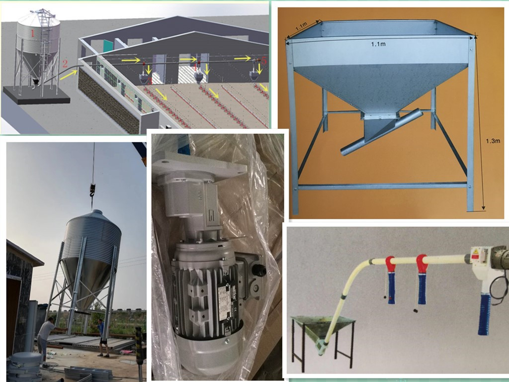 sistema de plato de alimentación