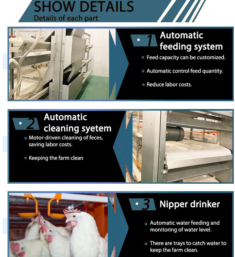 H9223ce33538947f9b0d269651da08150a