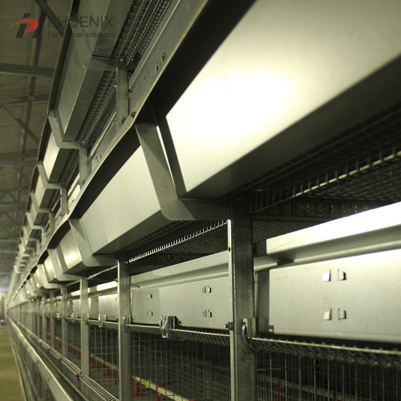  Jaula automática de la capa del pollo del sistema de la jaula del pollo de la capa de la batería tipo H 