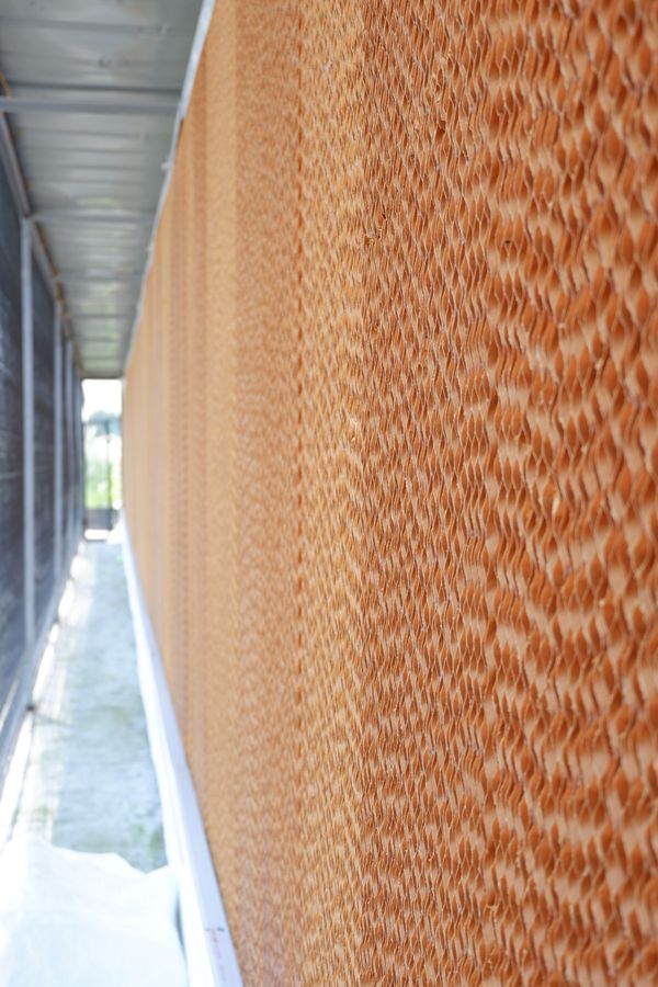 En un gallinero cerrado, ¿cómo utilizar las almohadillas refrigerantes para refrescarse en verano?