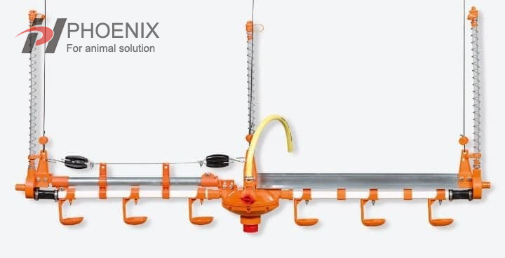 Línea automática de bebederos para pollos, equipo completo de bebedero para sistema de línea de agua de granjas avícolas 