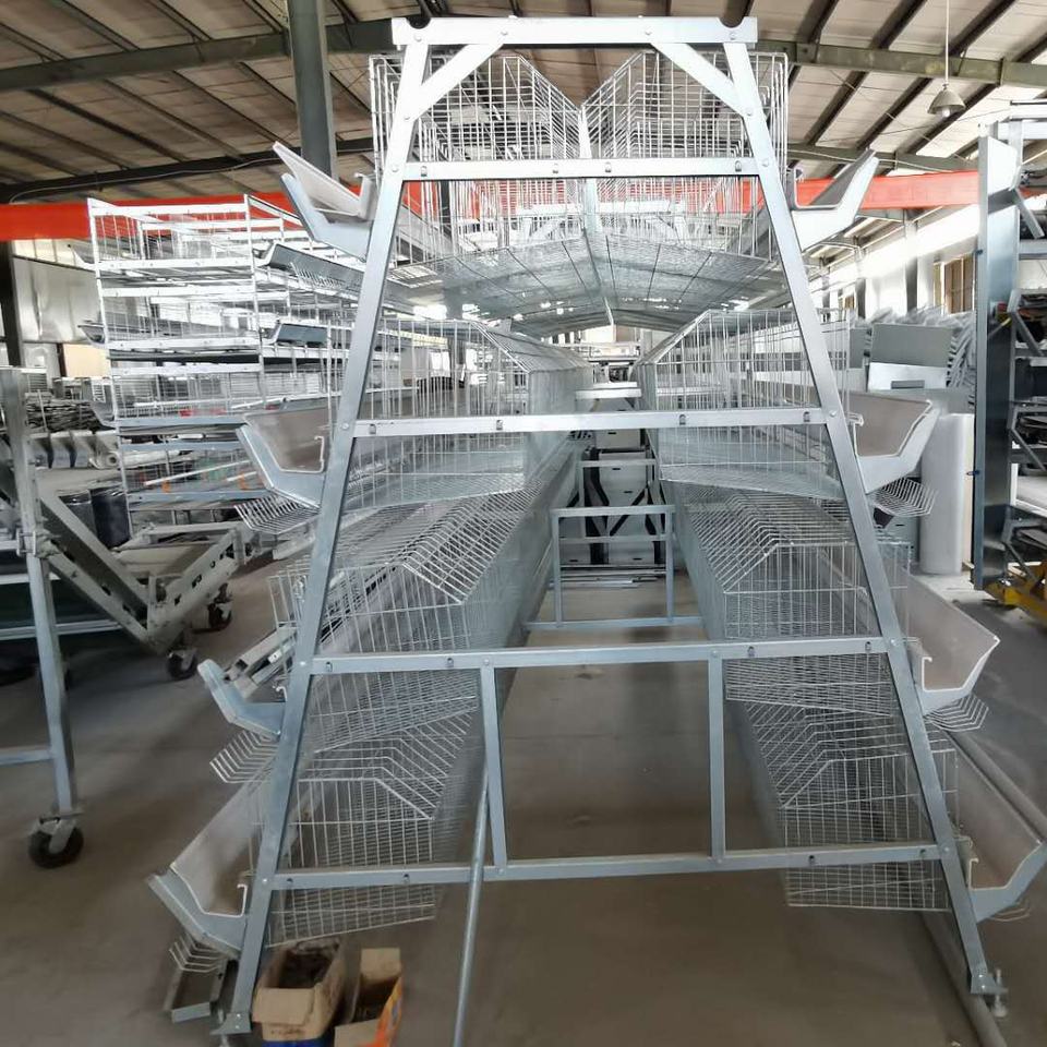 jaula para pollos (2)