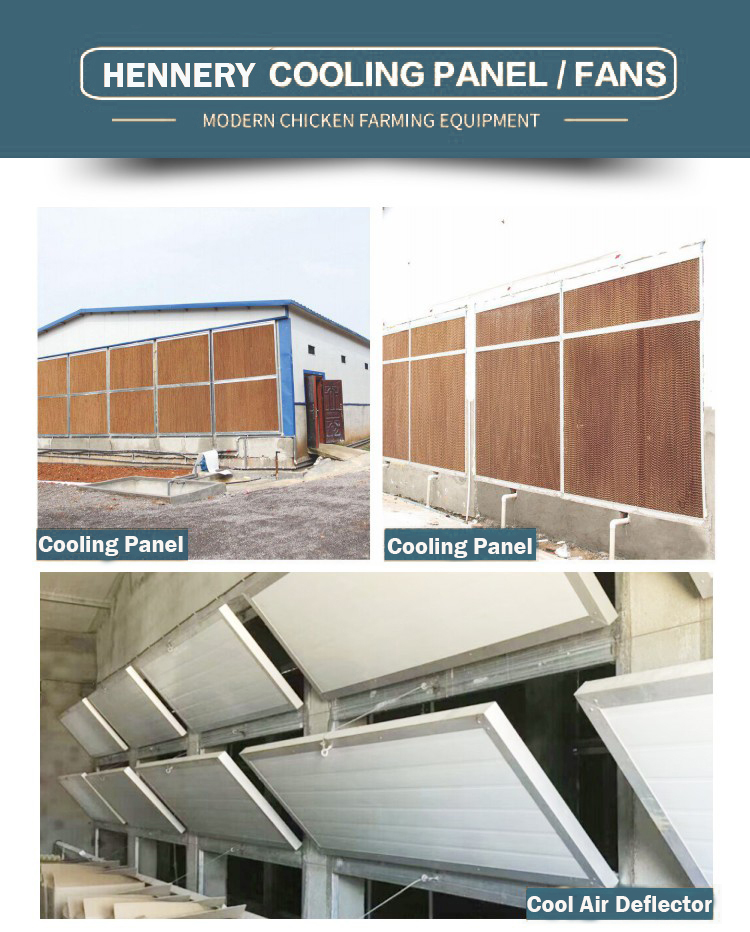 HTB1qk.AayLrK1Rjy1zdq6ynnpXaz