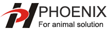 logo-phoenix nuevo