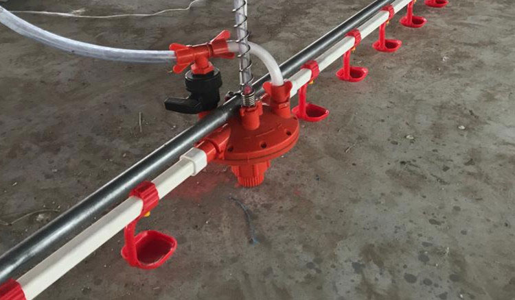 El suministro de agua es de importación. Granja de pollos.