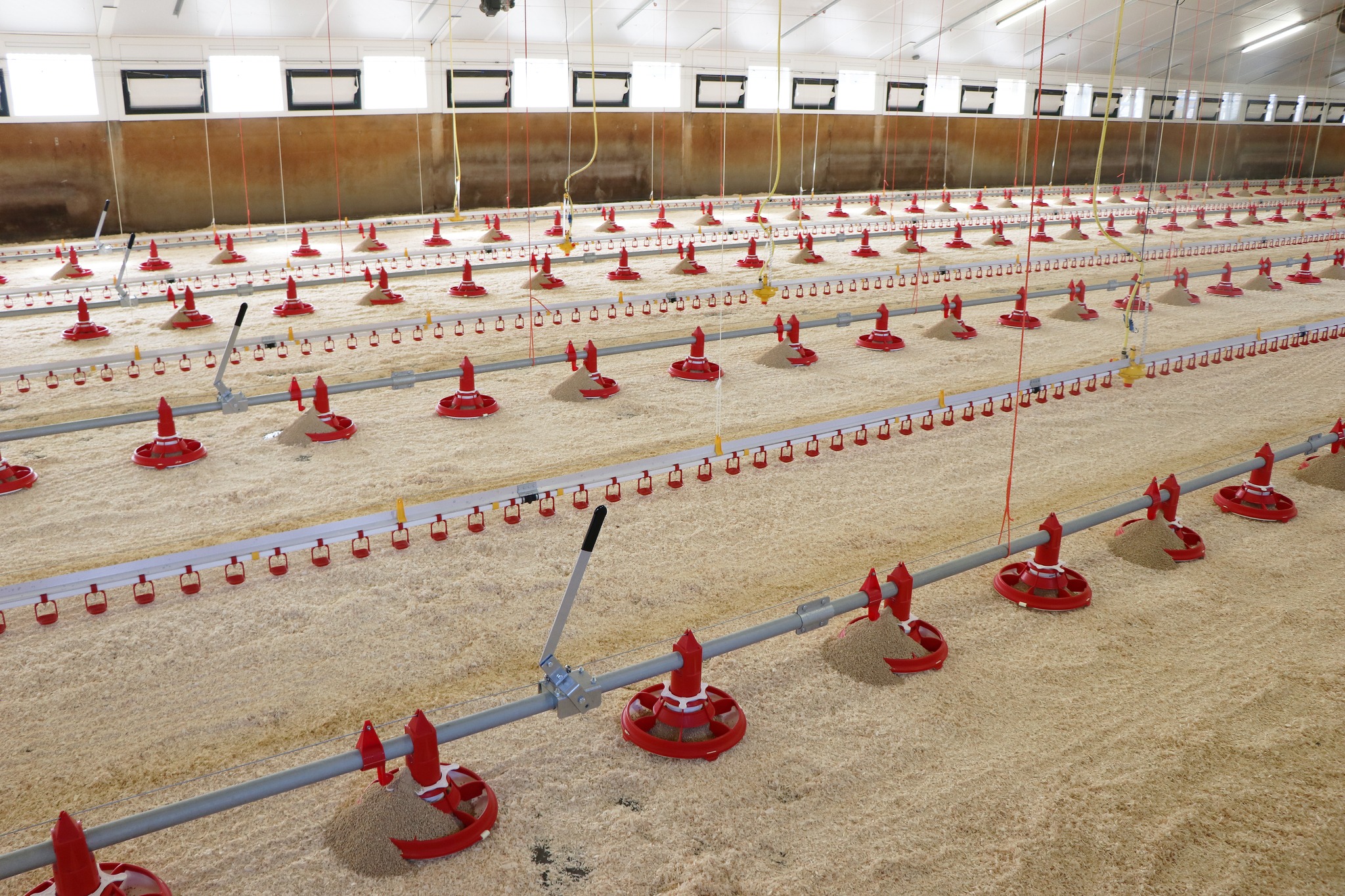 320787296_683309320133659_5660493106734388927_n