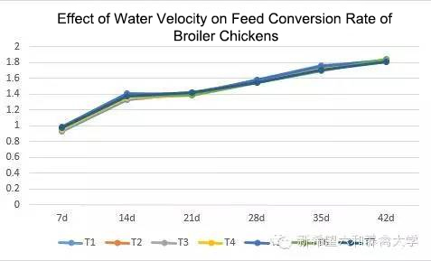 bebedor de pezones 2